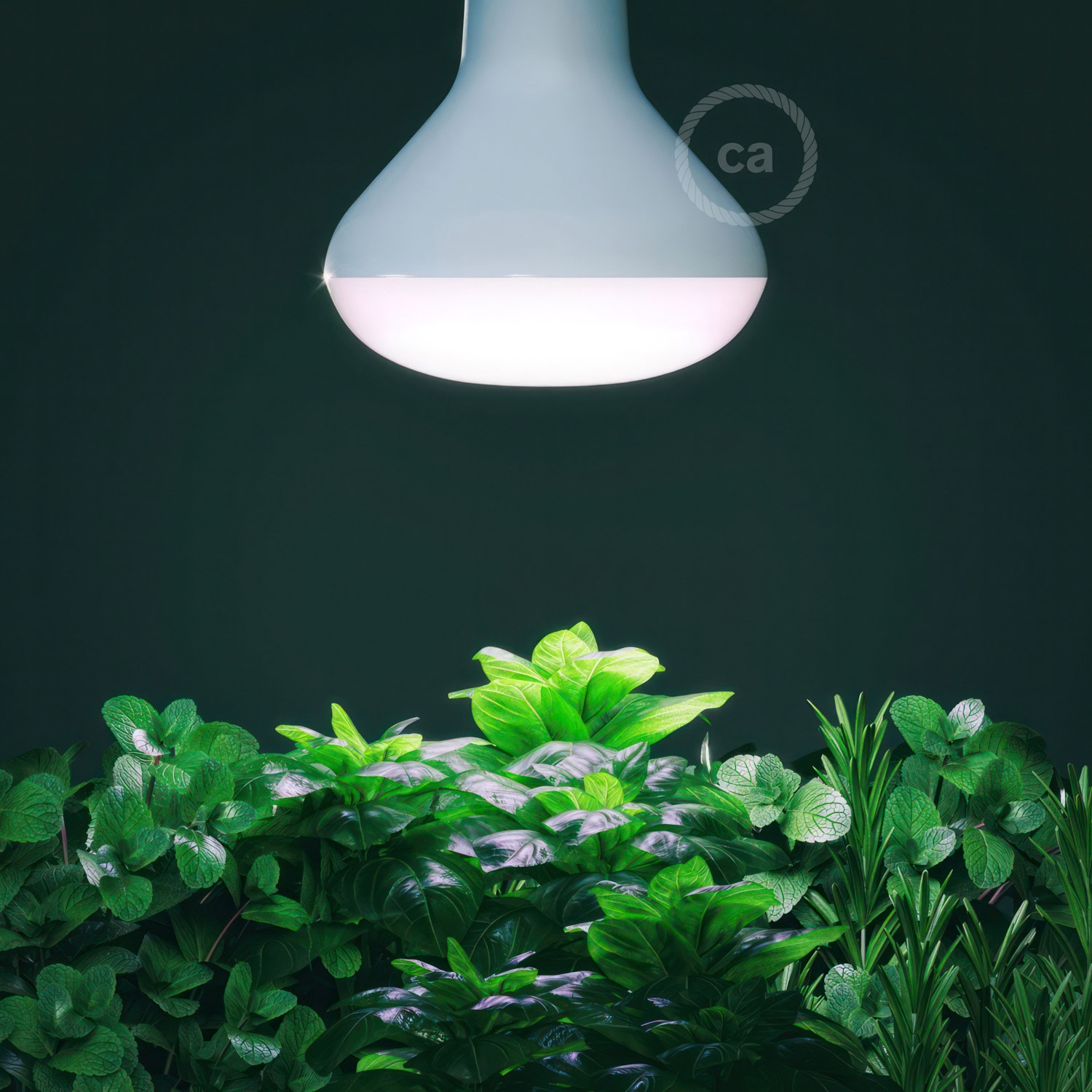 LED Lamp for Plants Growing 12W E27