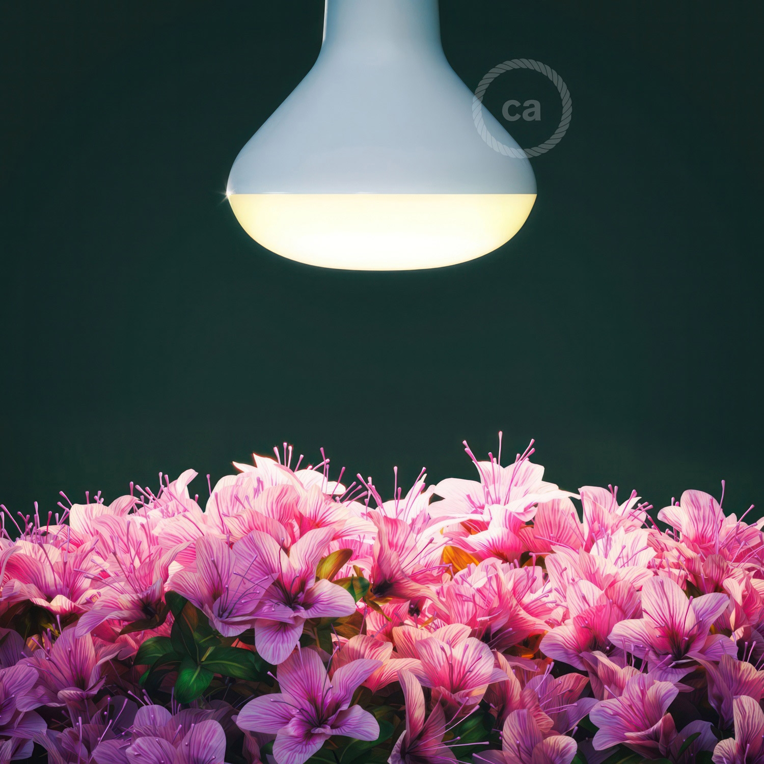 LED Lamp for Plants Flowering 12W E27