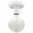 Fermaluce Metal,wall or ceiling flush light