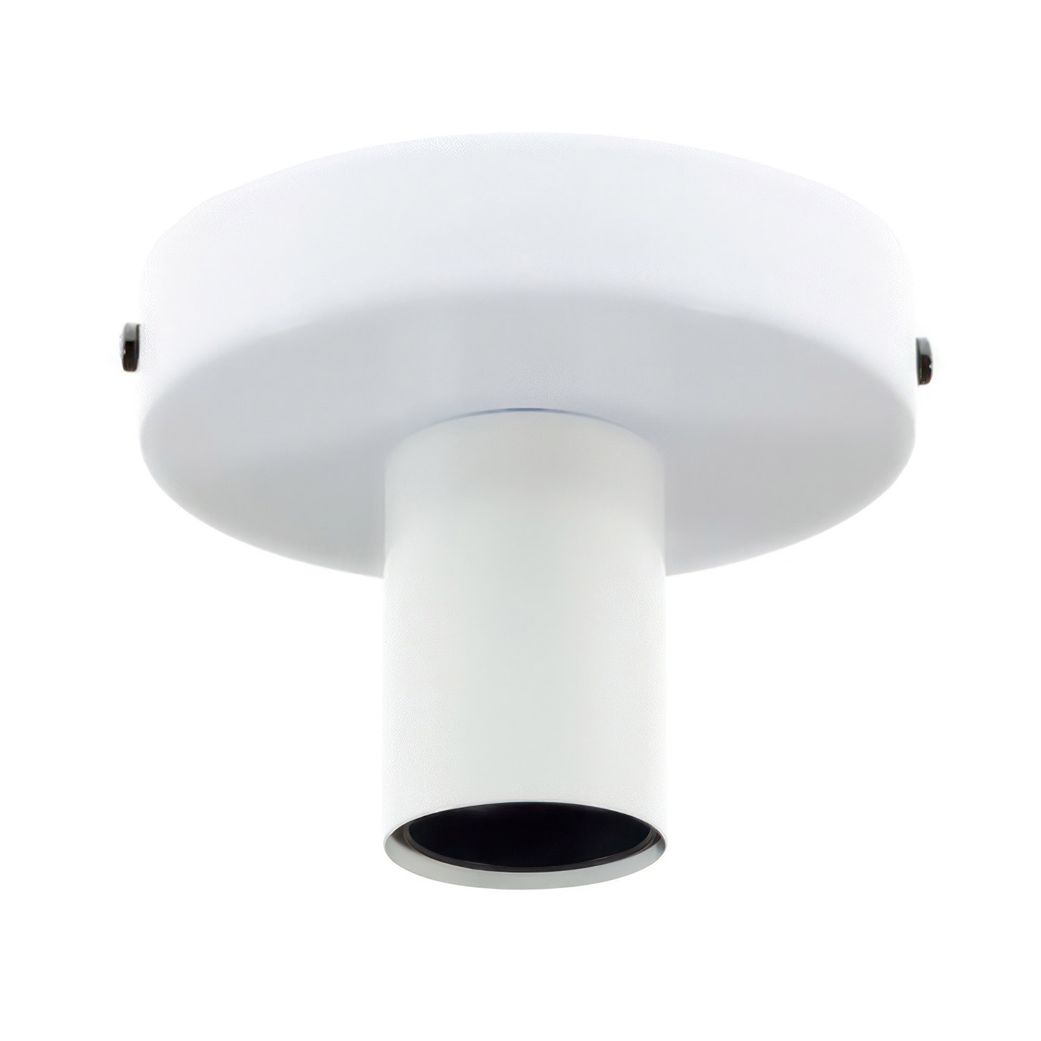 Metal Simple Wall & Ceiling Light Sconce