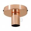 Metal Simple Wall & Ceiling Light Sconce