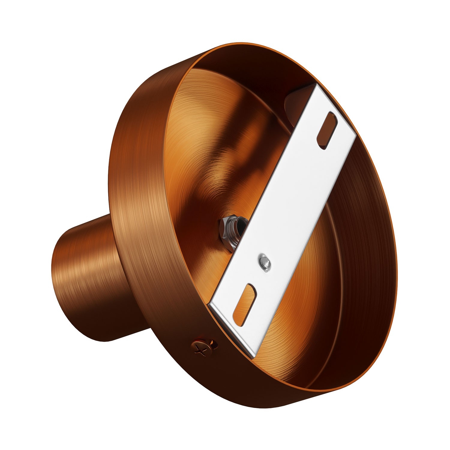 Metal Simple Wall & Ceiling Light Sconce