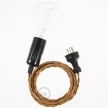 Switched Plug-In Light: Black